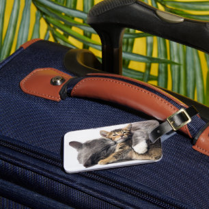 Cutest Baby Animals Cute Kitten Hug Luggage Tag
