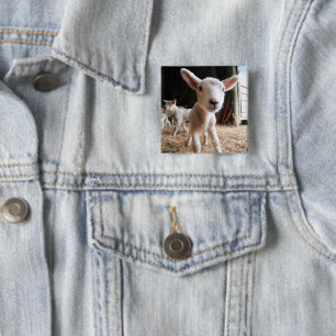 Cutest Baby Animals Cute Lamb in a Farm 15 Cm Square Badge