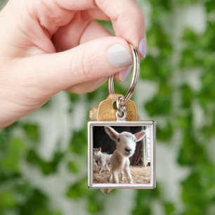 Cutest Baby Animals   Cute Lamb in a Farm Key Ring