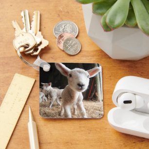 Cutest Baby Animals Cute Lamb in a Farm Key Ring
