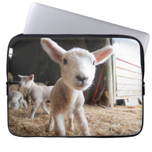 Cutest Baby Animals Cute Lamb in a Farm Laptop Sleeve