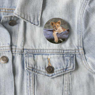 Cutest Baby Animals   Cute Lion Cub 6 Cm Round Badge