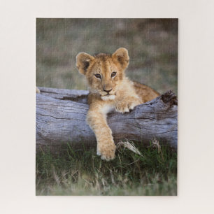 Cutest Baby Animals Cute Lion Cub Jigsaw Puzzle