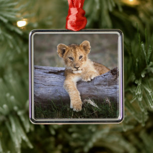 Cutest Baby Animals Cute Lion Cub Metal Tree Decoration
