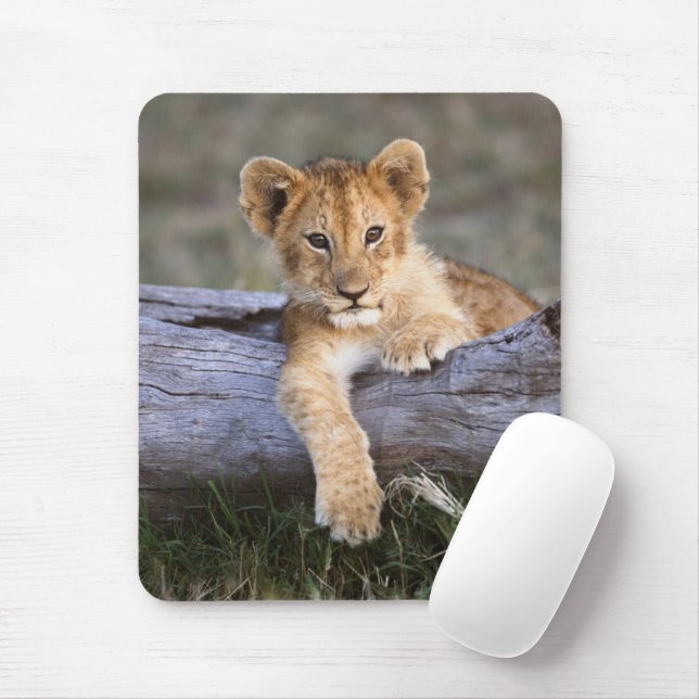 Cutest Baby Animals | Cute Lion Cub Mouse Mat (With Mouse)