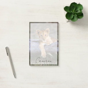 Cutest Baby Animals   Cute Lion Cub Post-it Notes