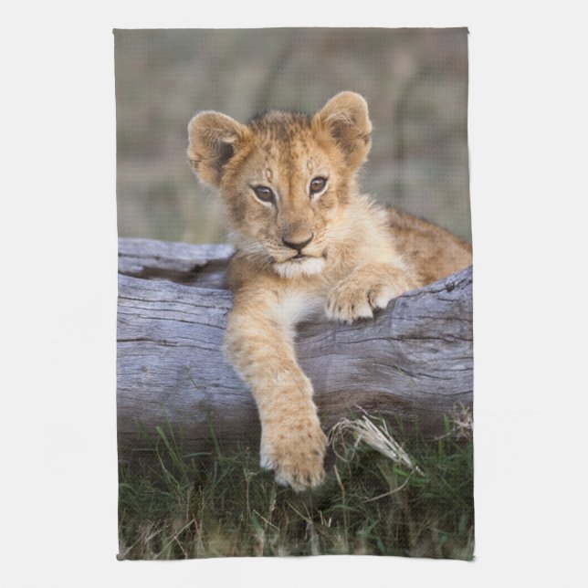 Cutest Baby Animals | Cute Lion Cub Tea Towel (Vertical)