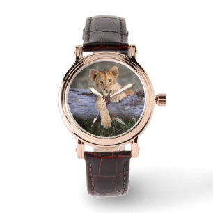 Cutest Baby Animals Cute Lion Cub Watch