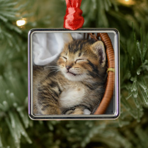 Cutest Baby Animals Cute Tabby Cat Sleeping Metal Tree Decoration