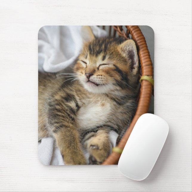 Cutest Baby Animals | Cute Tabby Cat Sleeping Mouse Mat (With Mouse)