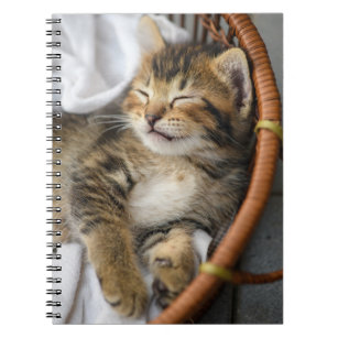 Cutest Baby Animals   Cute Tabby Cat Sleeping Notebook