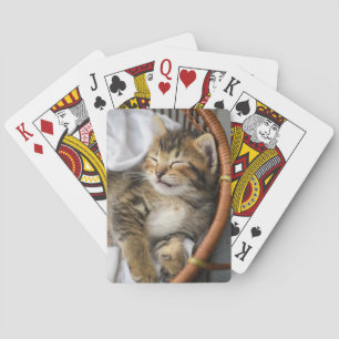 Cutest Baby Animals   Cute Tabby Cat Sleeping Playing Cards