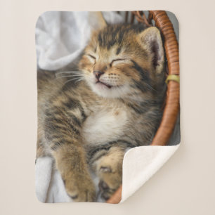 Cutest Baby Animals Cute Tabby Cat Sleeping Sherpa Blanket