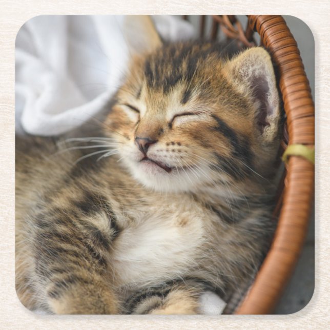 Cutest Baby Animals | Cute Tabby Cat Sleeping Square Paper Coaster (Front)