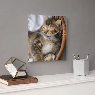 Cutest Baby Animals   Cute Tabby Cat Sleeping Square Wall Clock