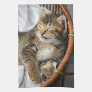 Cutest Baby Animals   Cute Tabby Cat Sleeping Tea Towel