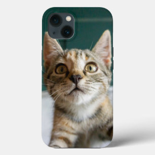 Cutest Baby Animals Cute Tabby Kitten iPhone 13 Case