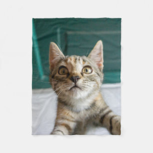 Cutest Baby Animals   Cute Tabby Kitten Fleece Blanket