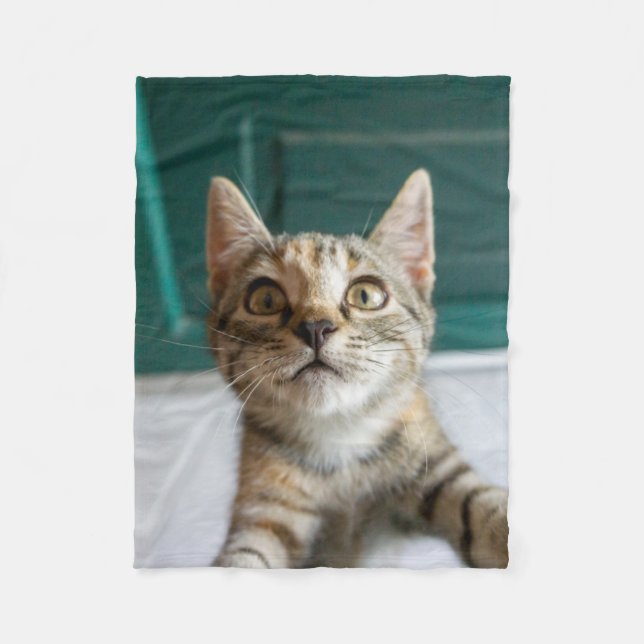 Cutest Baby Animals | Cute Tabby Kitten Fleece Blanket (Front)