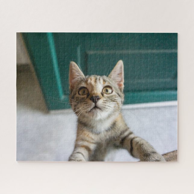 Cutest Baby Animals | Cute Tabby Kitten Jigsaw Puzzle (Horizontal)