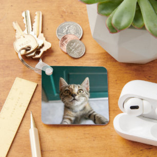 Cutest Baby Animals Cute Tabby Kitten Key Ring