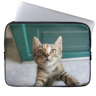 Cutest Baby Animals   Cute Tabby Kitten Laptop Sleeve