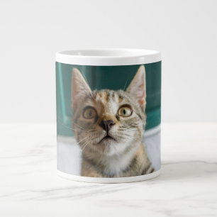 Cutest Baby Animals   Cute Tabby Kitten Large Coffee Mug