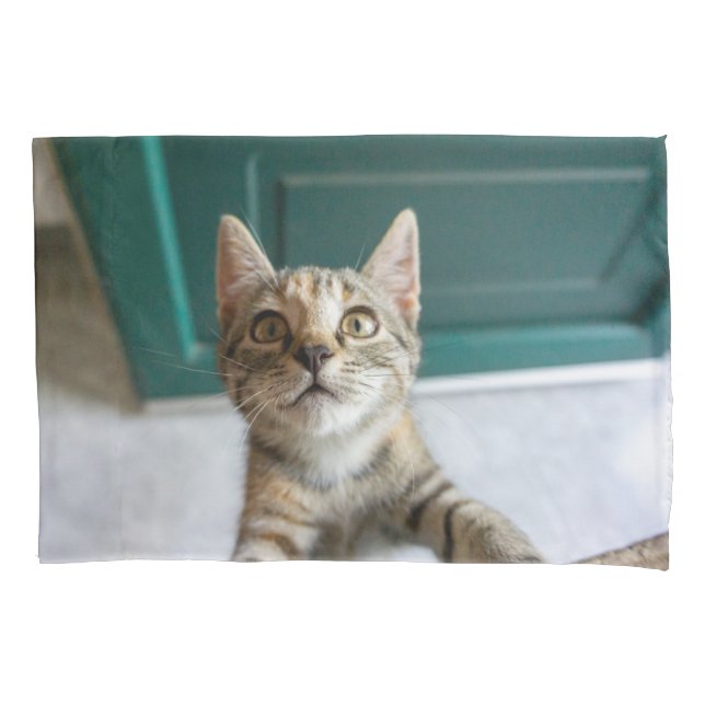 Cutest Baby Animals | Cute Tabby Kitten Pillowcase (Front)