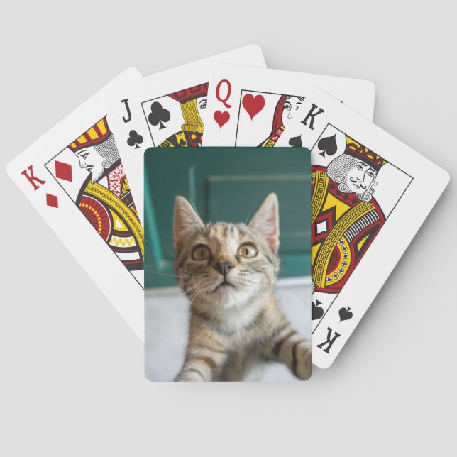 Cutest Baby Animals | Cute Tabby Kitten Playing Cards (Back)