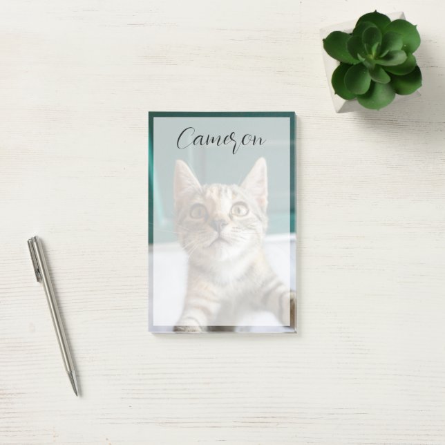 Cutest Baby Animals | Cute Tabby Kitten Post-it Notes (Office)