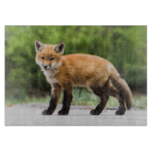 Cutest Baby Animals   Cutey Fox Cutting Board