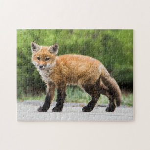 Cutest Baby Animals   Cutey Fox Jigsaw Puzzle