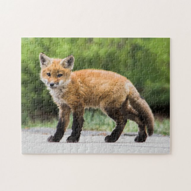 Cutest Baby Animals | Cutey Fox Jigsaw Puzzle (Horizontal)
