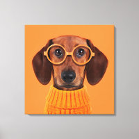 Cutest Baby Animals | Dachshund Orange Sweater