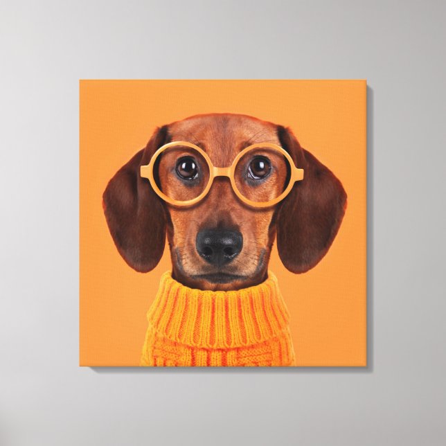 Cutest Baby Animals | Dachshund Orange Sweater Canvas Print (Front)