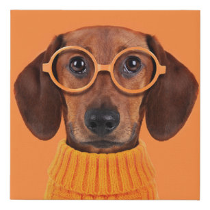 Cutest Baby Animals   Dachshund Orange Sweater Faux Canvas Print