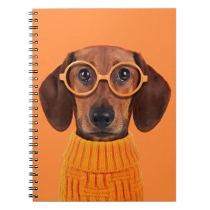 Cutest Baby Animals   Dachshund Orange Sweater Notebook