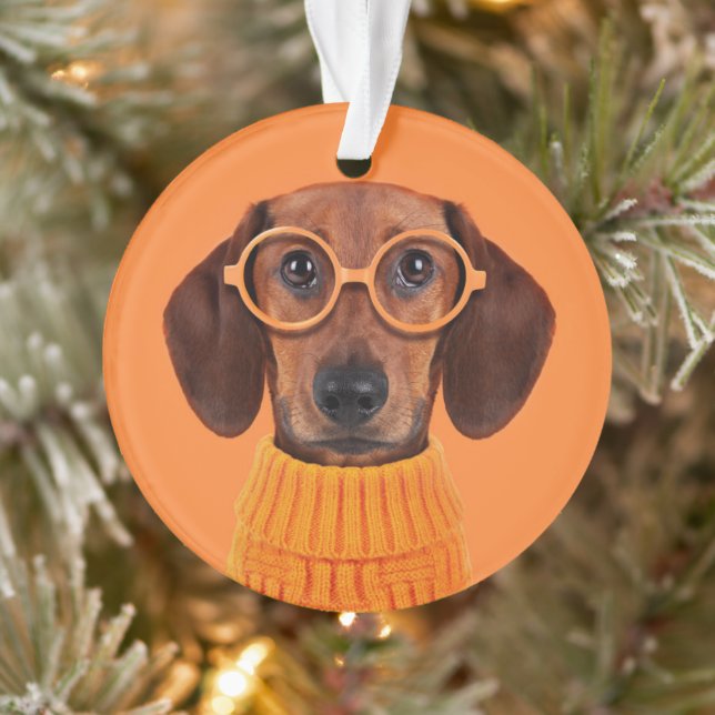 Cutest Baby Animals | Dachshund Orange Sweater Ornament (Tree)