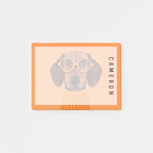 Cutest Baby Animals | Dachshund Orange Sweater Post-it Notes (Front)