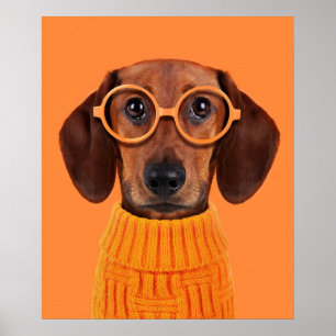 Cutest Baby Animals   Dachshund Orange Sweater Poster