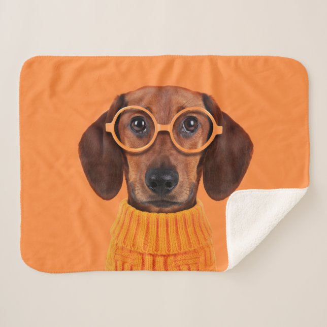 Cutest Baby Animals | Dachshund Orange Sweater Sherpa Blanket (Front (Horizontal))