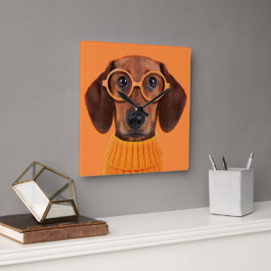 Cutest Baby Animals   Dachshund Orange Sweater Square Wall Clock