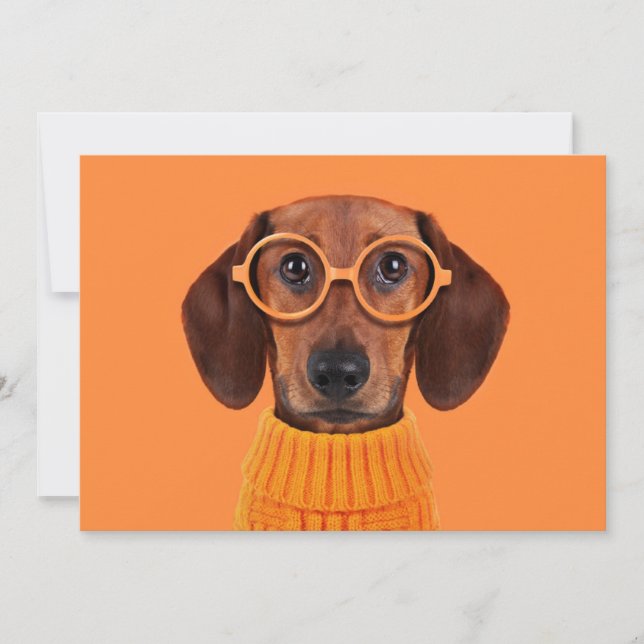 Cutest Baby Animals | Dachshund Orange Sweater Thank You Card (Front)