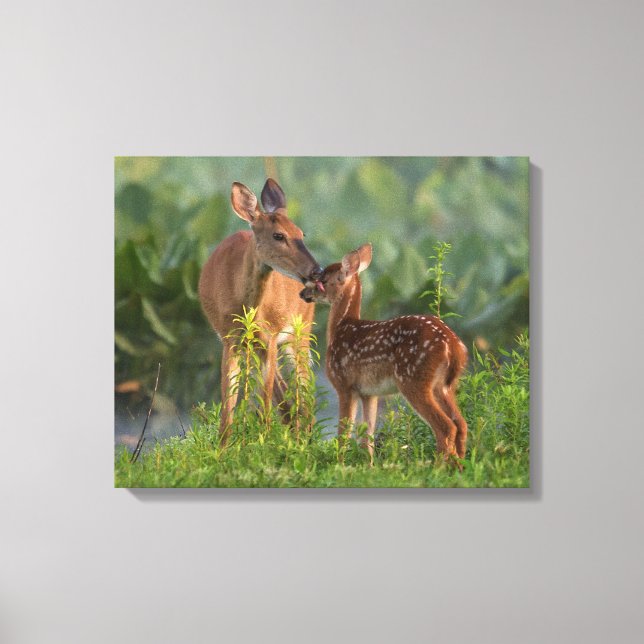 Cutest Baby Animals | Deer and Baby Canvas Print (Front)