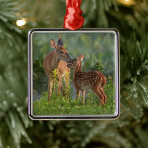Cutest Baby Animals   Deer and Baby Metal Tree Decoration