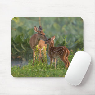 Cutest Baby Animals   Deer and Baby Mouse Mat