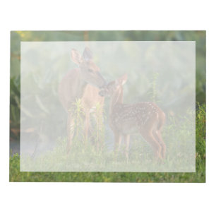 Cutest Baby Animals   Deer and Baby Notepad