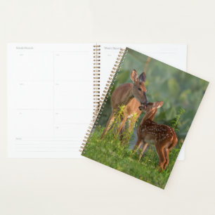 Cutest Baby Animals Deer and Baby Planner