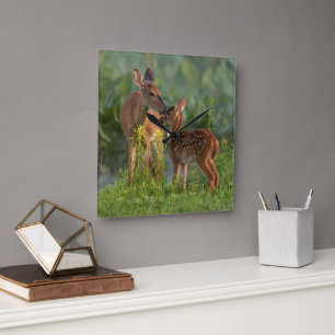 Cutest Baby Animals   Deer and Baby Square Wall Clock
