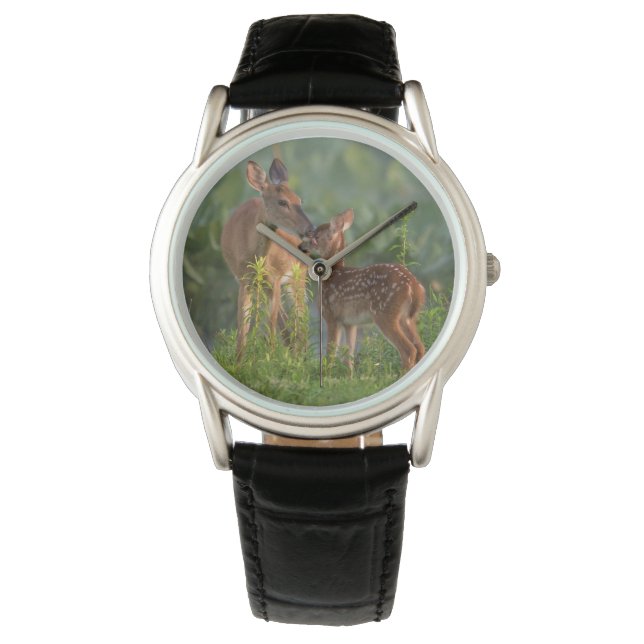 Cutest Baby Animals | Deer and Baby Watch (Front)